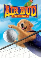 Air Bud slår tillbaka
