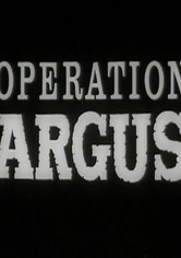 Operation Argus