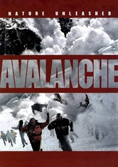 Danger Avalanche