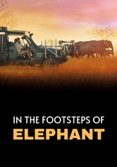 In den Fußstapfen von Elefanten