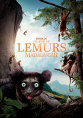 Wildes Madagaskar - Die Insel der Lemuren
