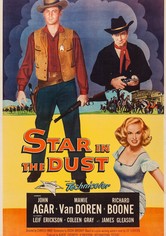 Star in the Dust