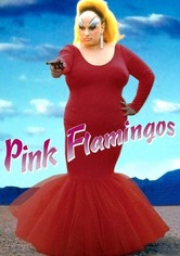 ピンク・フラミンゴ