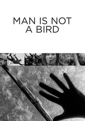 Människan är ingen fågel