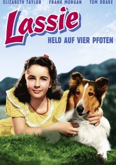 Lassie - Held auf vier Pfoten