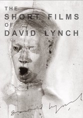 The Short Films of David Lynch