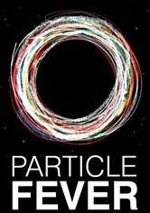 Particle Fever: Die Jagd nach dem Higgs