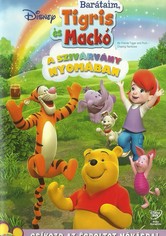 My Friends Tigger and Pooh: Chasing Rainbows