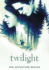 Twilight: The Adventure Begins