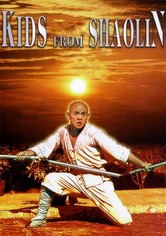 Les héritiers de Shaolin