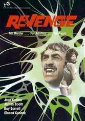 Revenge – Eine gefährliche Affäre