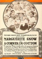 A Corner in Cotton