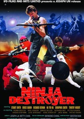 Ninja American Destroyer
