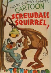 Screwball Squirrel