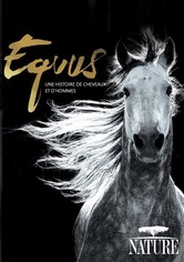 Equus, une histoire de chevaux et d'hommes