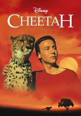 Cheetah på äventyr