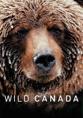 Abenteuer Erde: Wildes Kanada