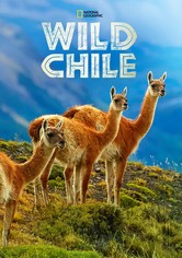 Wild Chile: Un viaje salvaje