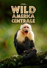 Wild America Centrale