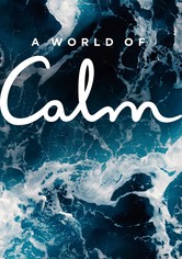 A World of Calm