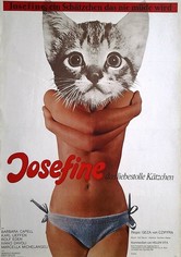 Josefine - das liebestolle Kätzchen