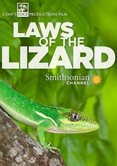Laws of the Lizard