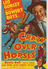 Crazy Over Horses