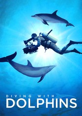 Dyka med delfiner