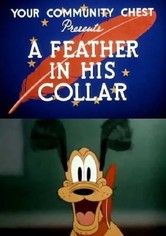 A Feather in His Collar