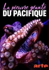 La pieuvre géante du Pacifique