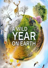 A Wild Year On Earth