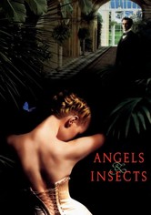 Engel und Insekten