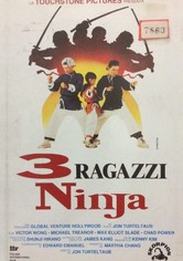 3 ragazzi ninja