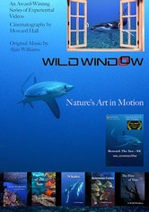 Wild Window