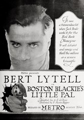 Boston Blackie's Little Pal