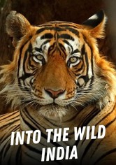 Into the Wild: India