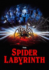 The Spider Labyrinth