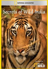 National Geographic : Secrets of Wild India