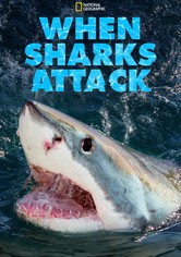 När hajar attackerar