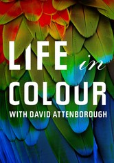Das Leben in Farbe mit David Attenborough