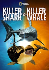 Killer Shark vs. Killer Whale