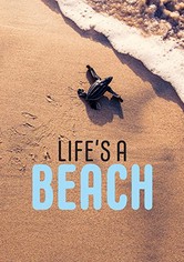 Life’s a Beach