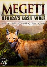 Africa's Lost Wolves