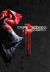 Crips and Bloods: Made in America