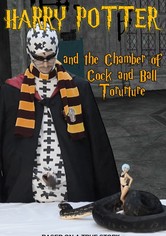Harry Potter and the Chamber of Cock and Ball Torture