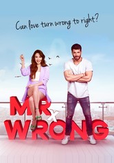 Mr. Wrong - Lezioni d'amore