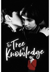 Kunskapens träd