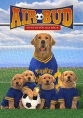 Air Bud 3 - Ein Hund für alle Bälle