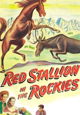 Red Stallion In The Rockies