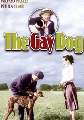 The Gay Dog